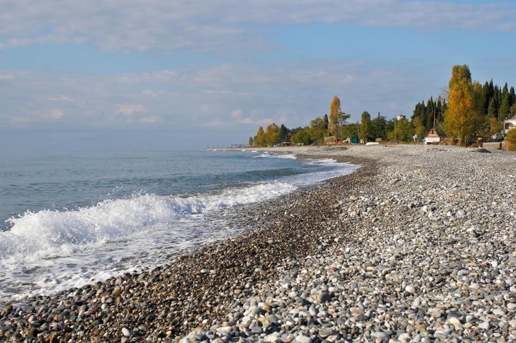 Бархат Tsandrypsj Buitenkant foto